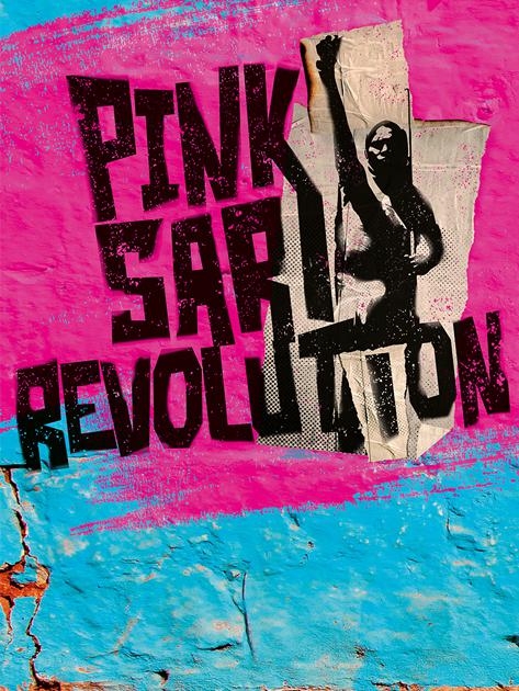 pink_sari_revolution