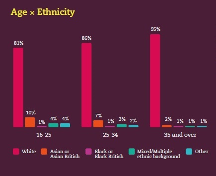 Audience Agency Museum Age Ethnicity Nov 2018