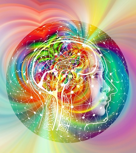 brain-4490836_960_720