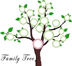 family tree-1951473_1280